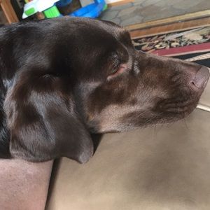 Meet your Posher, Elizabeth